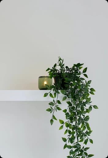 plants-acc-sec